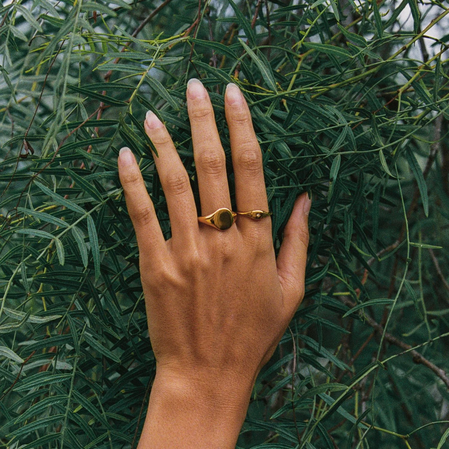 Oval Signet Ring - Image 4