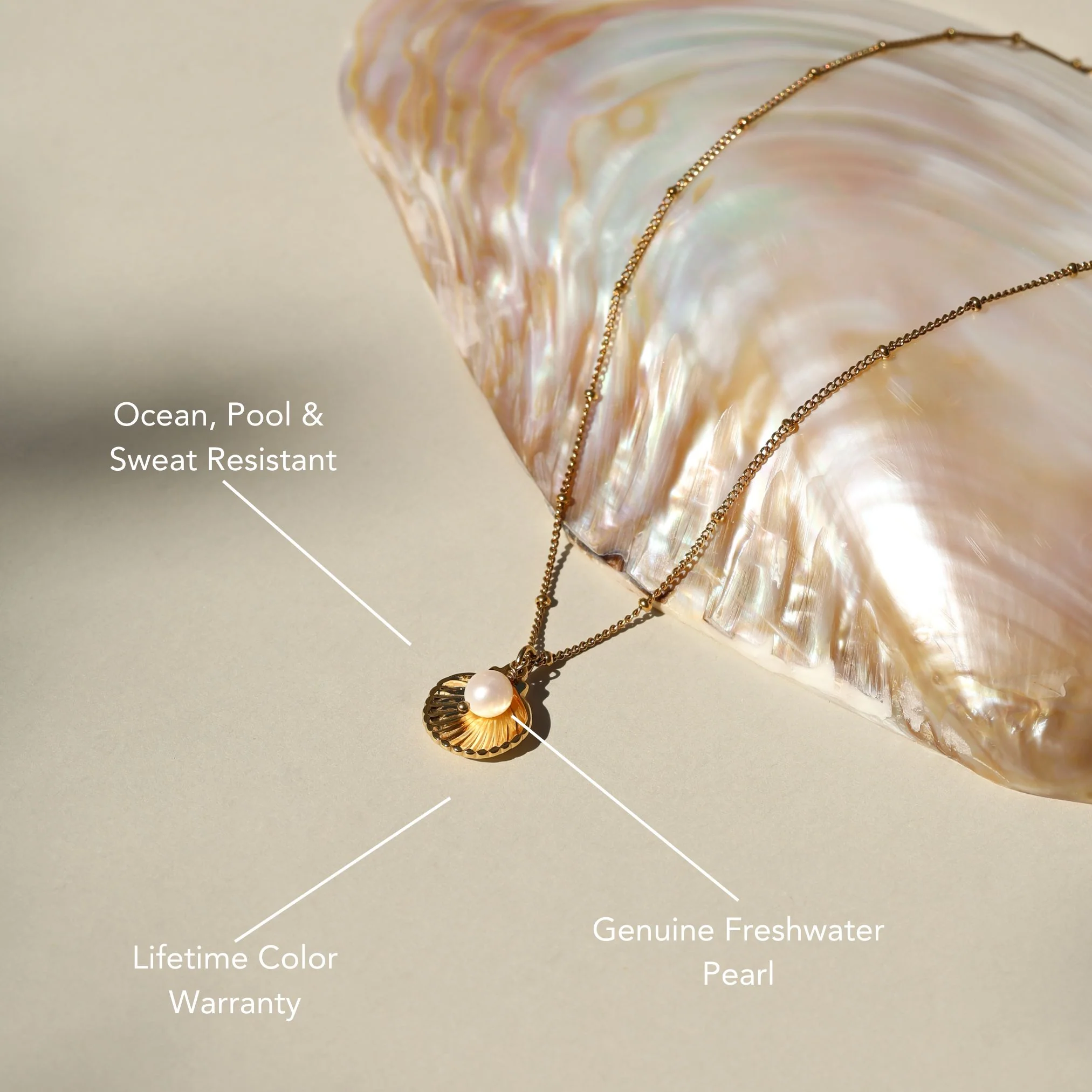 Seashell Necklace - Image 2