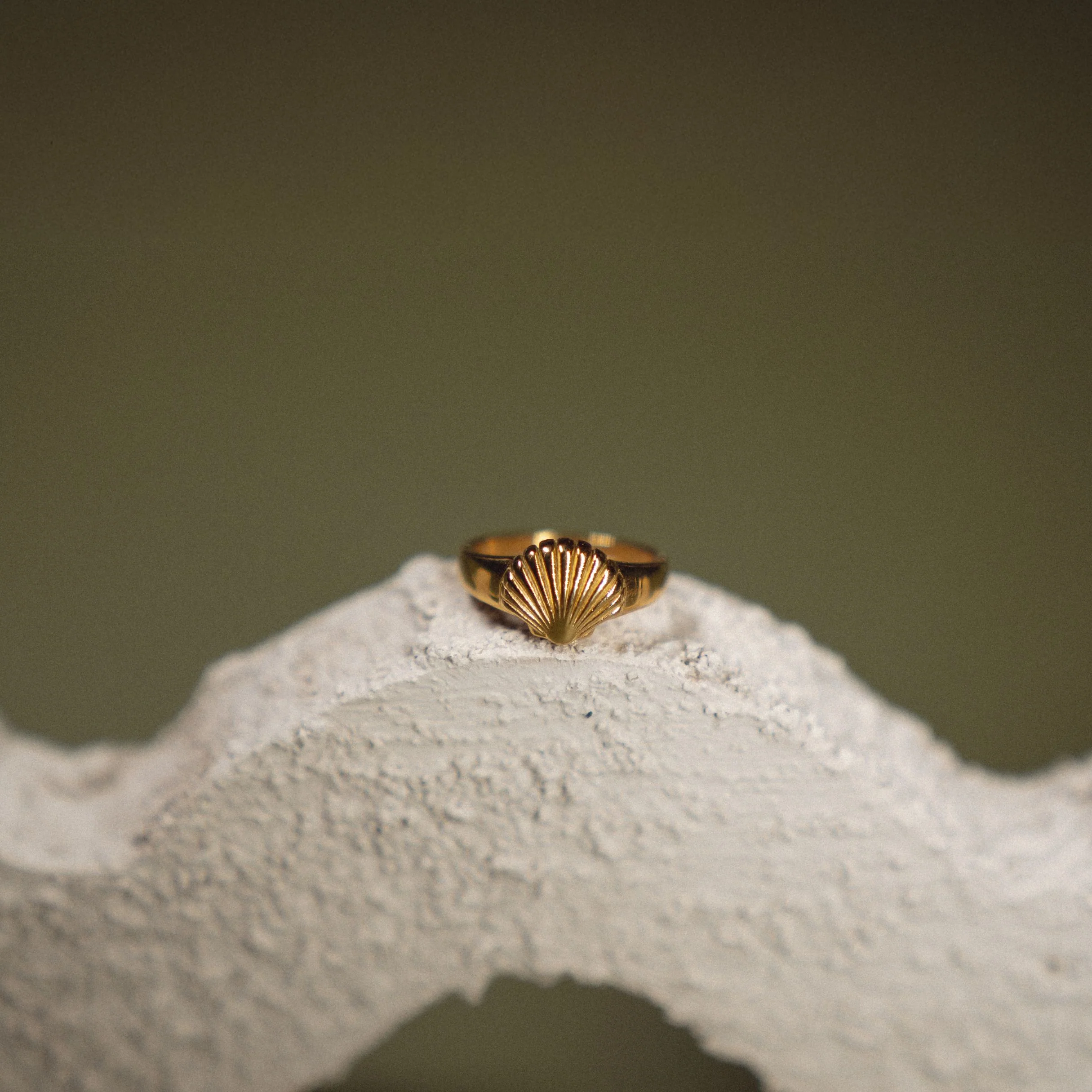Seashell Ring - Image 12
