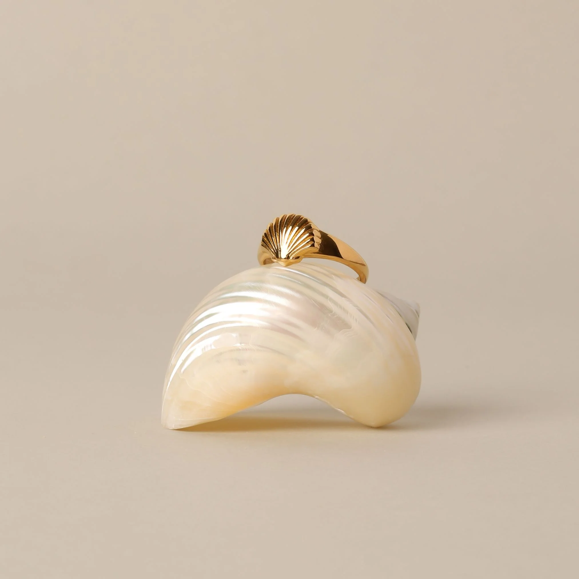 Seashell Ring - Image 2