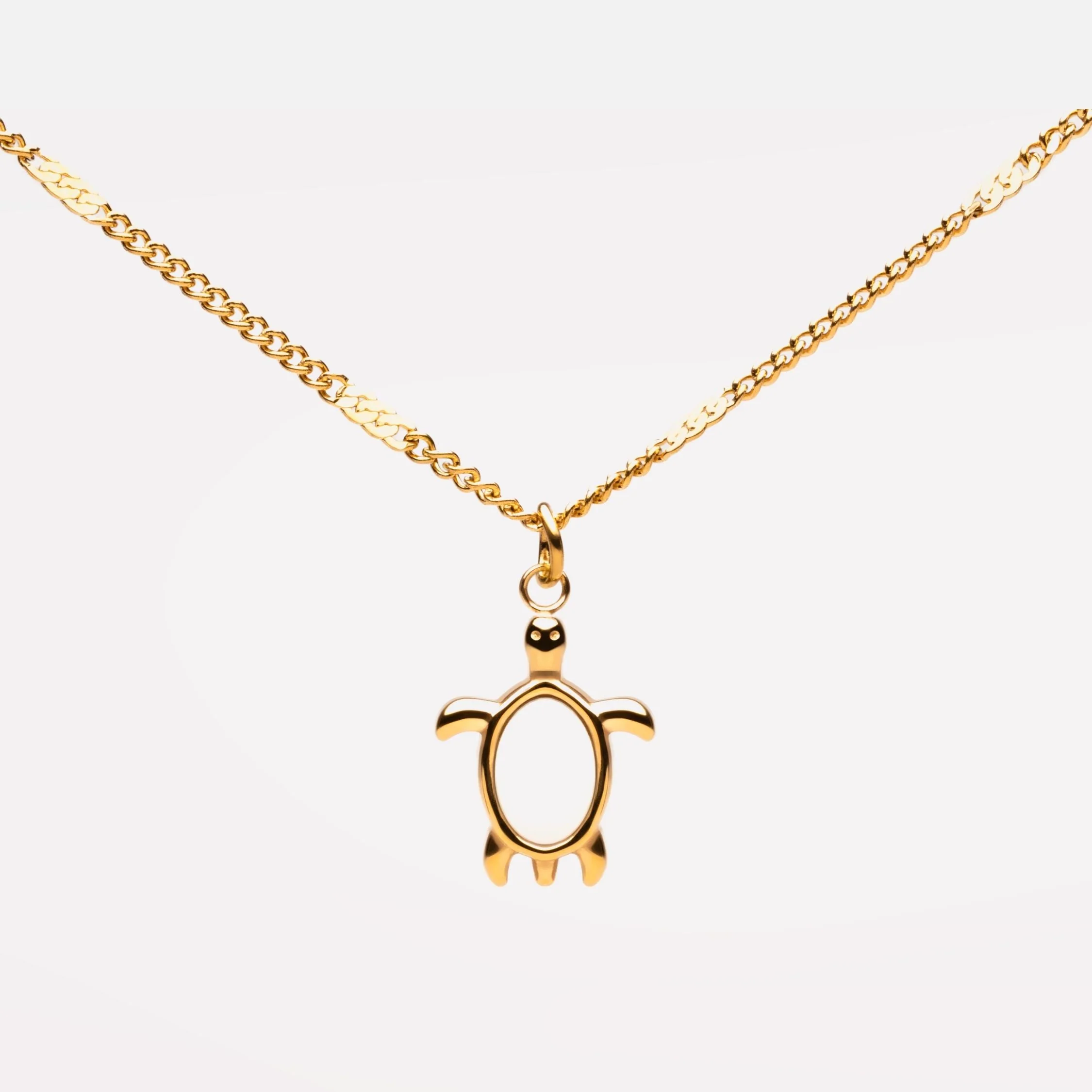 Turtle Guardian Necklace