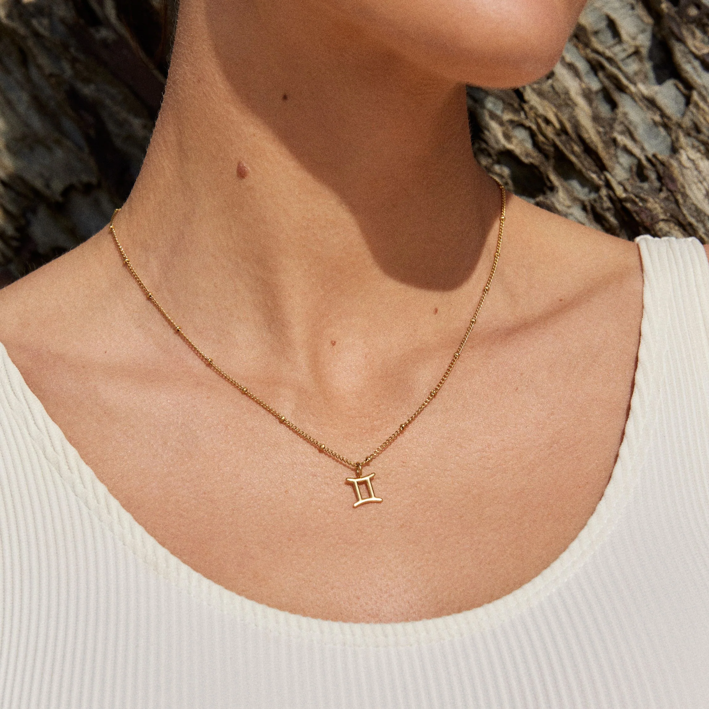 Zodiac Necklace - Image 10